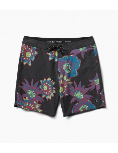 Passage Boardshorts 17" de technologie